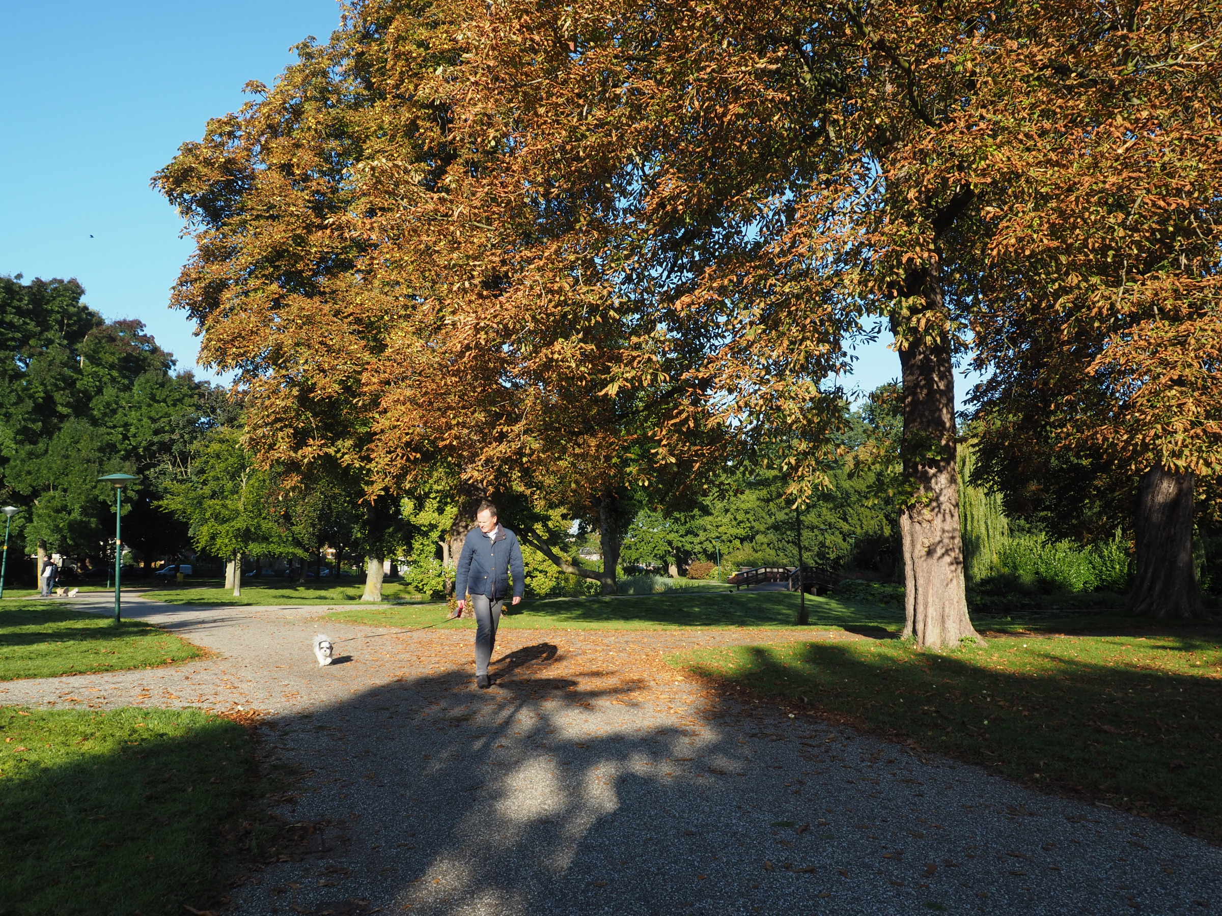 Park Rijnstroom, Alphen aan den Rijn, Netherlands 23/09/2017, 09:34
