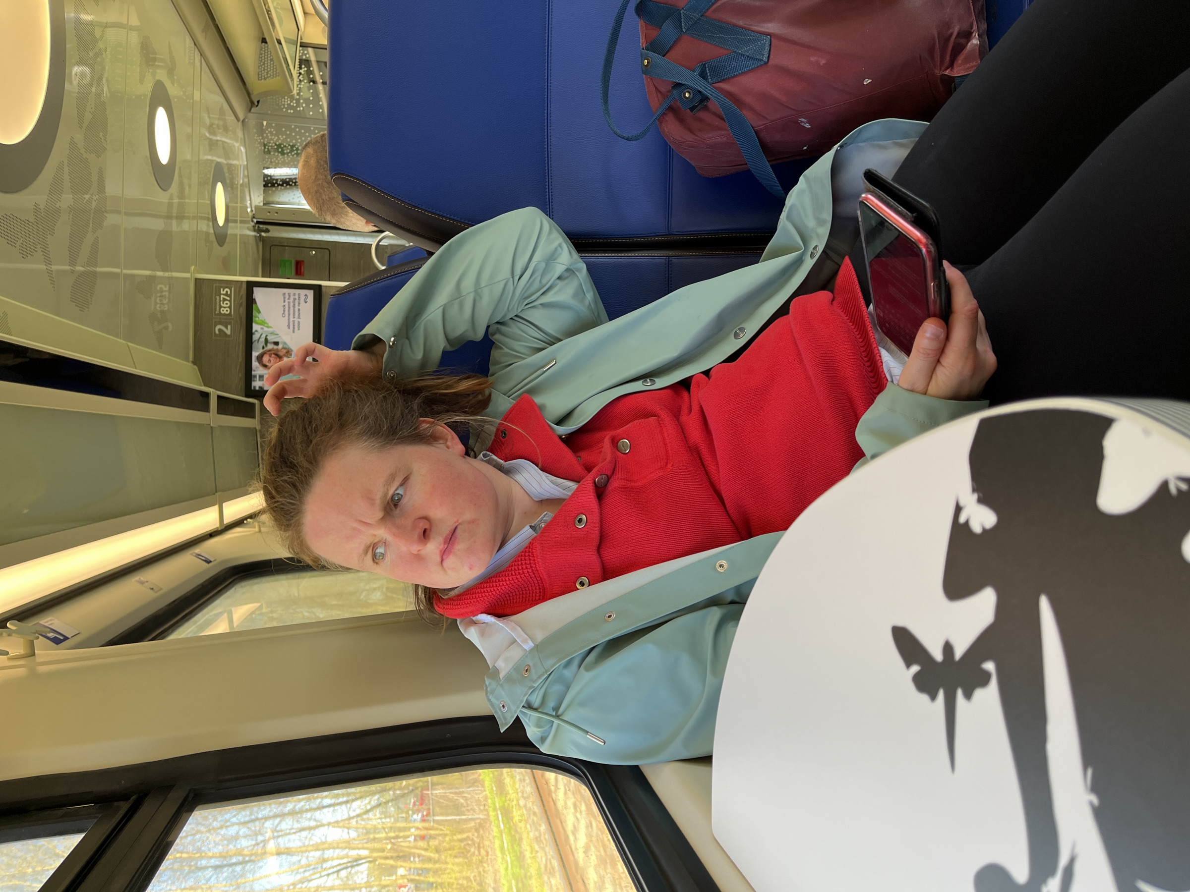 Fellow Traveler